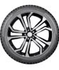 Nokian Tyres (Ikon) Hakkapeliitta 10 EV заказать
