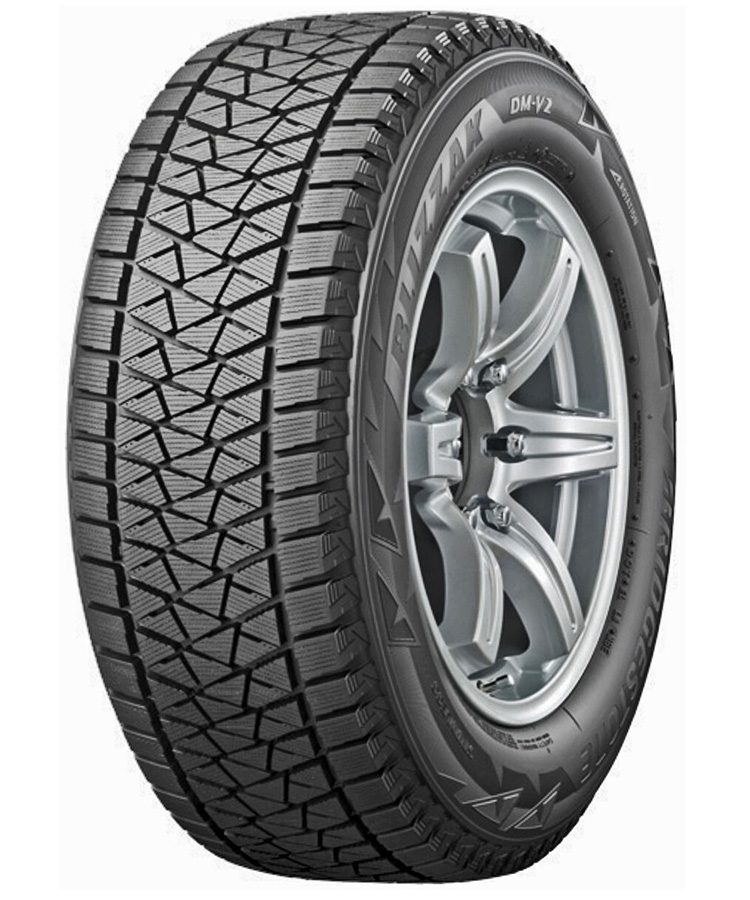 Bridgestone Blizzak DM-V2