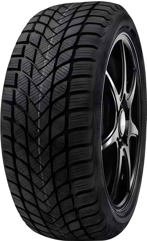 Delinte Winter WD6